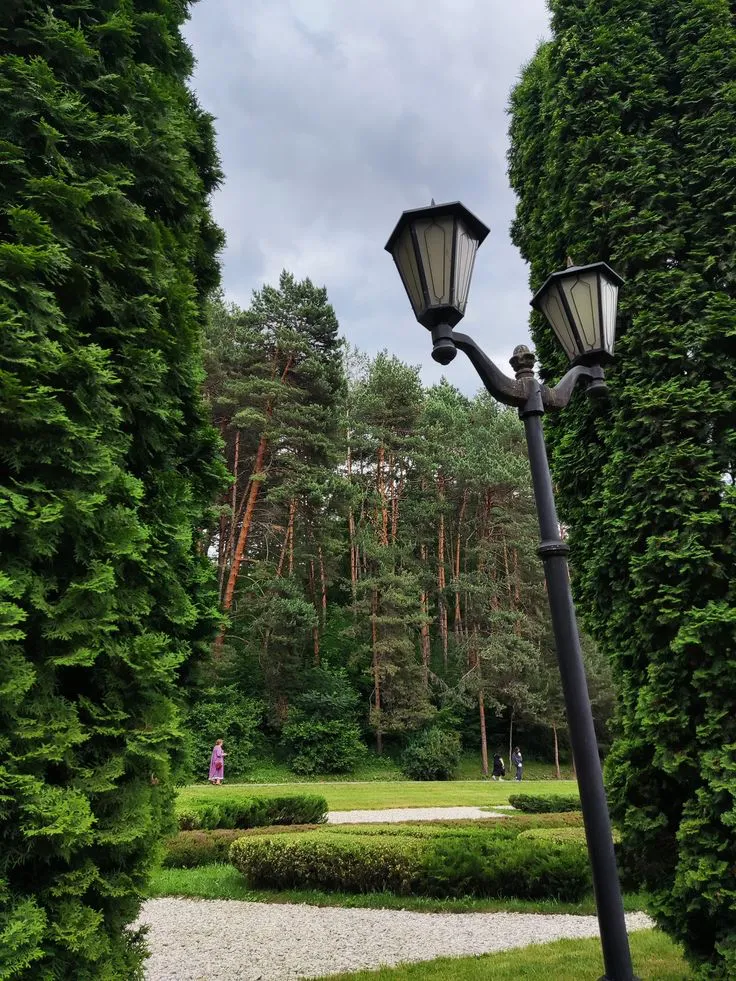 КАВКАЗ НА МАКСИМУМ